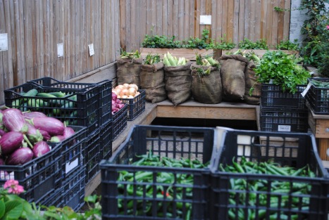 Veggies behind the Woods