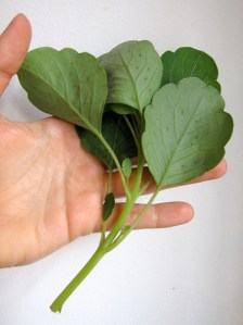 pic by miss ginsu @ flickr.com