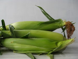 white corn