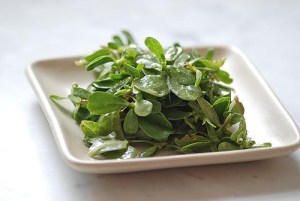 Courtesy of Cook Thinker: http://www.flickr.com/photos/cookthink/1030575049/ 