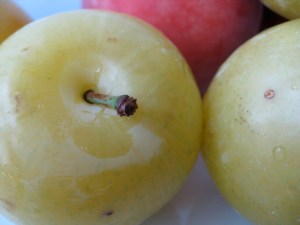 plums & peaches plums & peaches