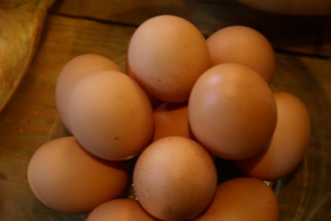 eggs