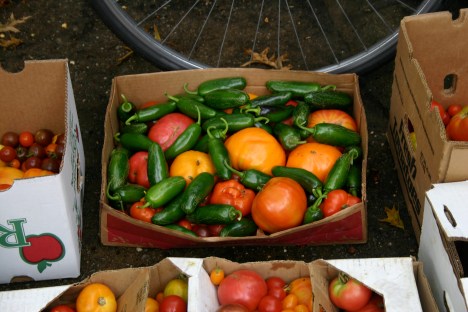 Margaret's Heirloom Tomato & Jalapeno Shares. Sept 2008.