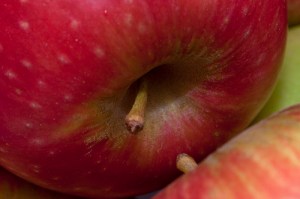 4047162102_16e8092da3 4047162102_16e8092da3