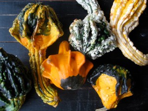 gourds gourds