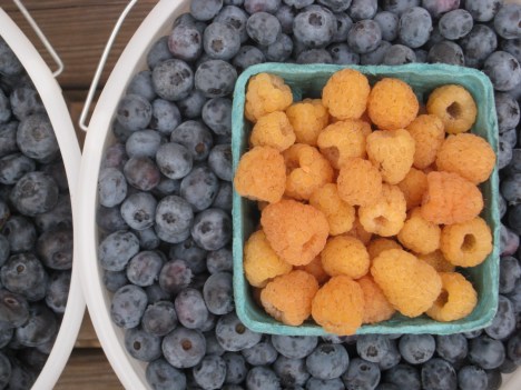 W3 - blueberries & raspberries