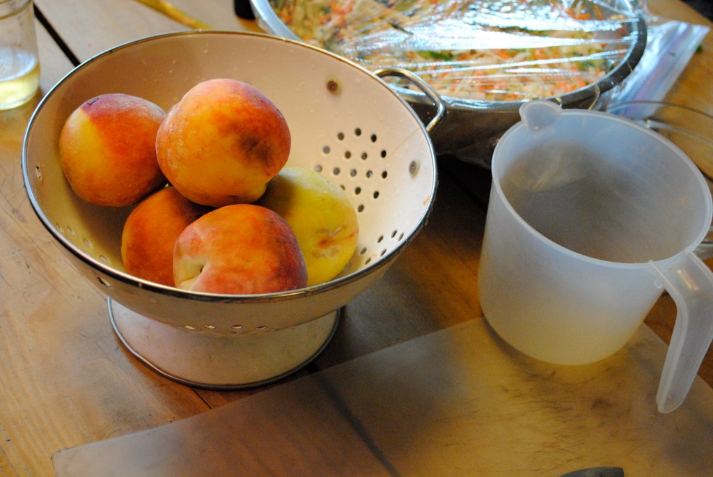 peaches from orchard share. aug 2010