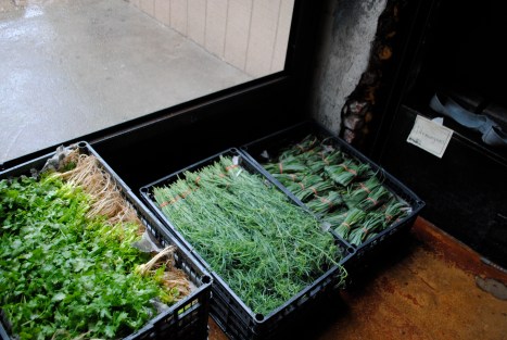 herbage aug 16 distro