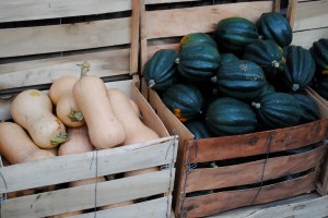 Winter Squash