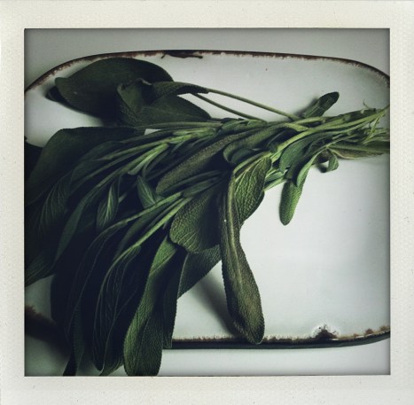 pic by 135 South First