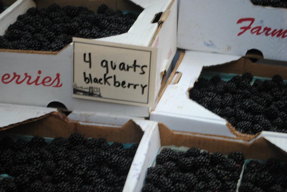 ...LOTS of BERRIES!!!...