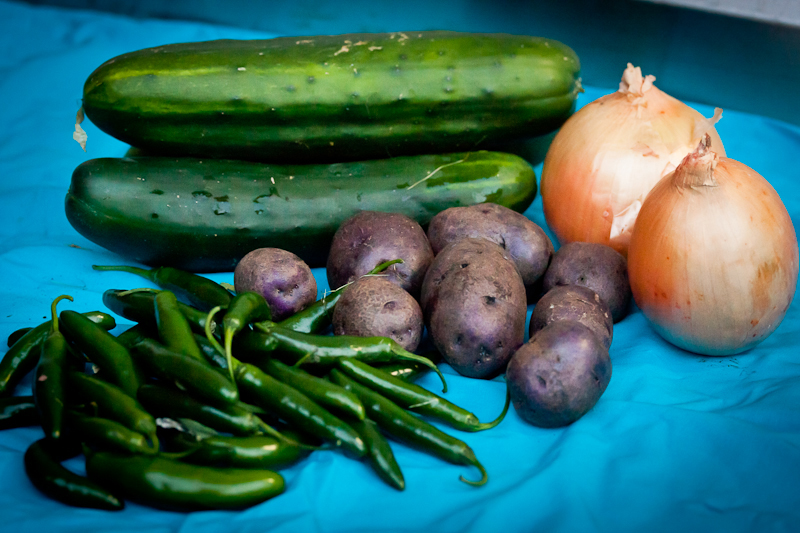 Harvest September 2012