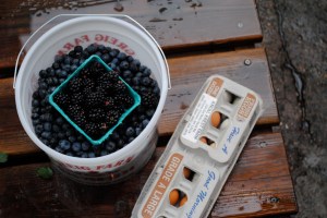 Berry Bonanza + Egg Share = Pie Time!!