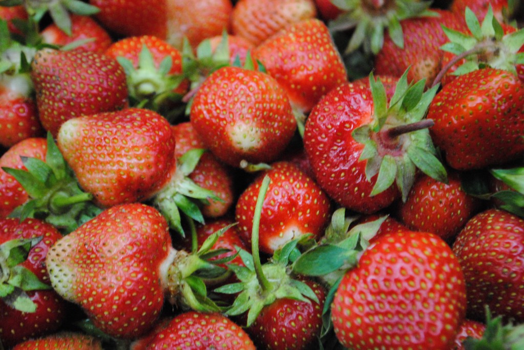 Greig Farm (Berry) Share