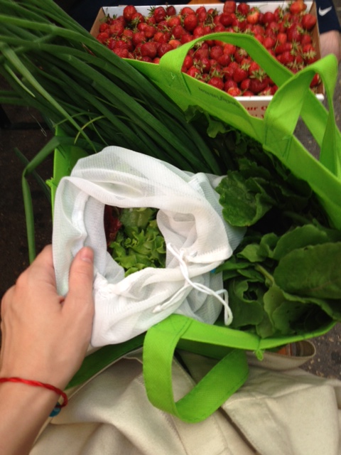 pic by jacob-hurwitz