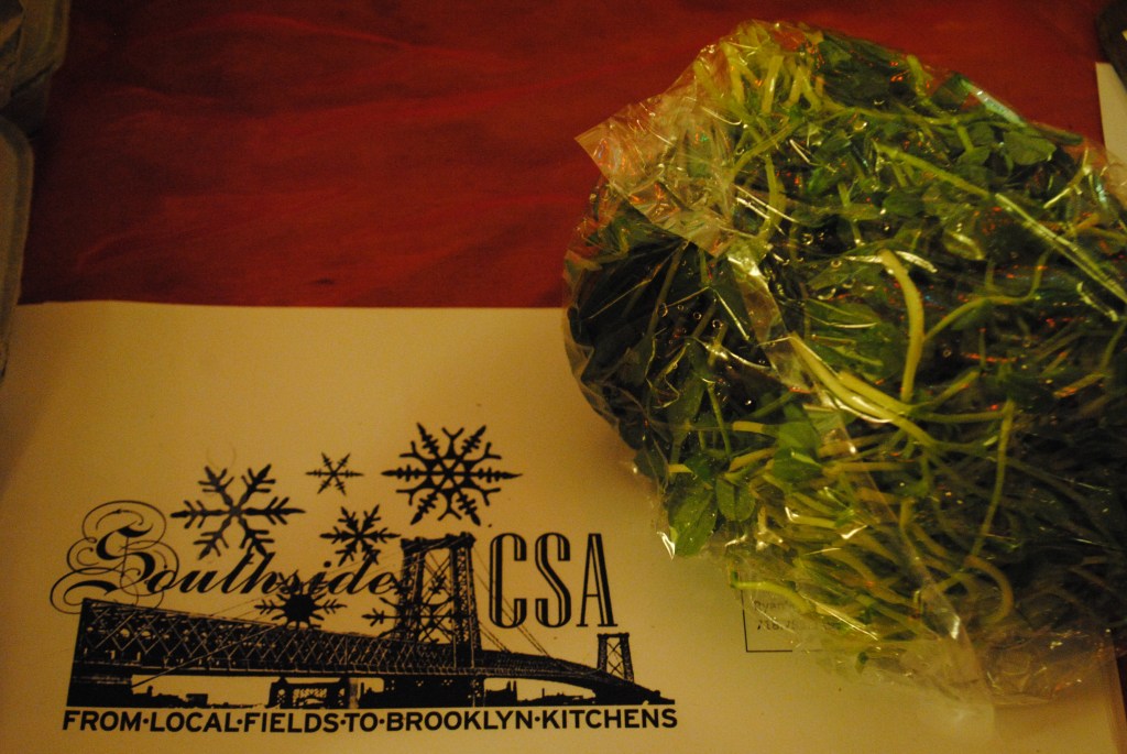 greenhouse greens for winter nomming