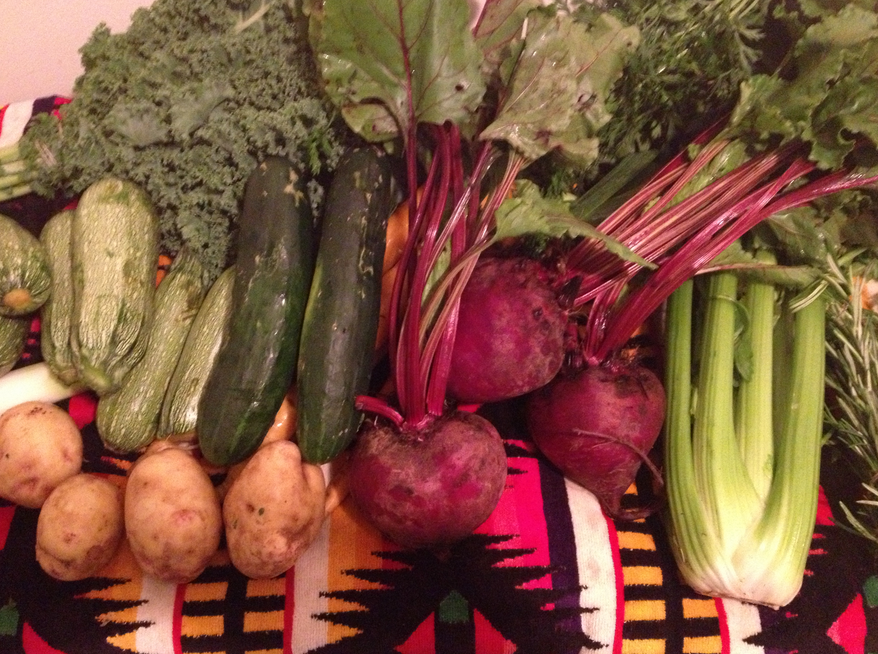 pic by allegra palmer