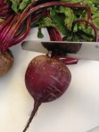 beets01