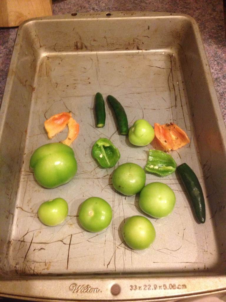 tomatillo1 - pic by mark yearsley