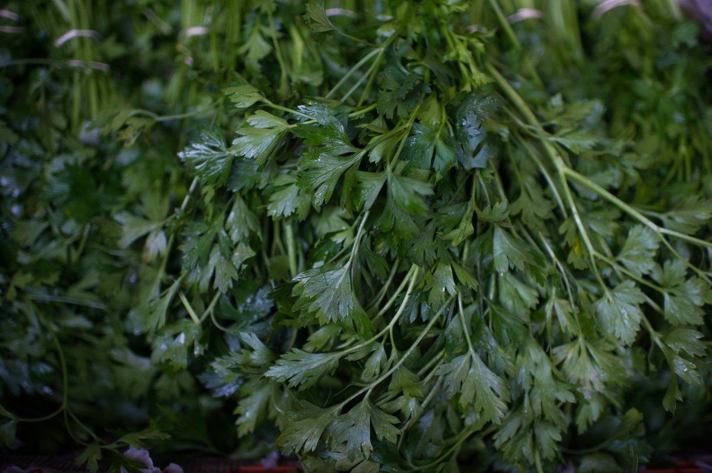 parsley pic by lauren slusher