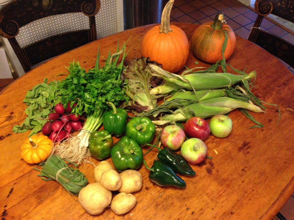 pic by caroline freedman