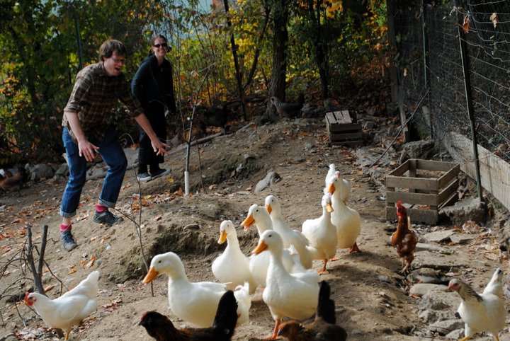Broken Stove James pic by Yolim Khoo