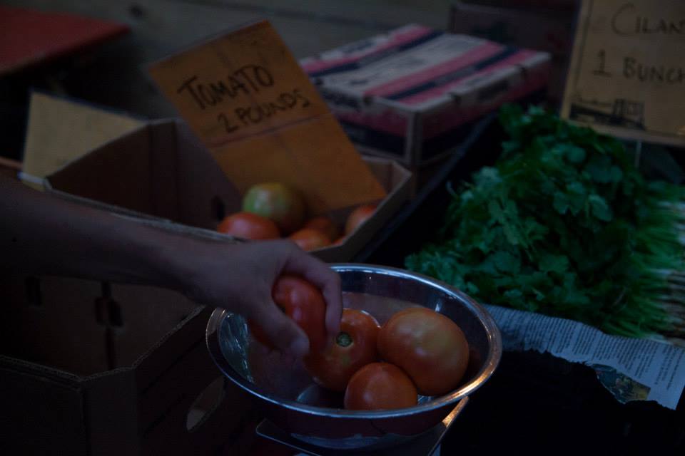 MimoMex Vegetable Share Sept 2013