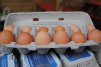 Farm Fresh Eggs