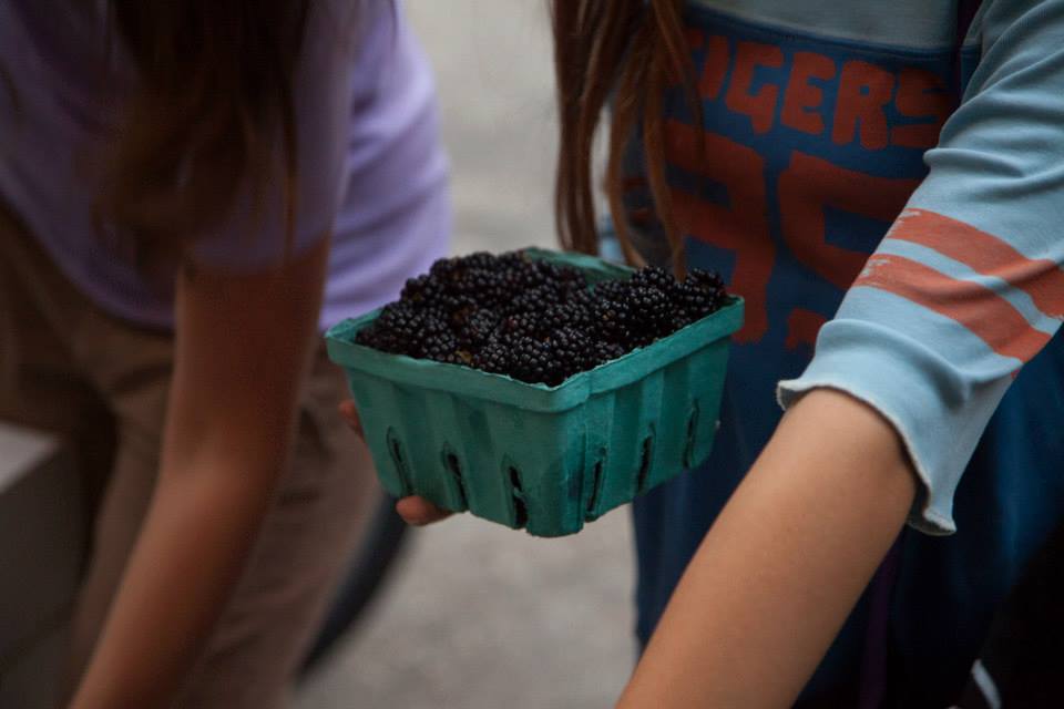 Greig Farm (Mostly) Berry Share