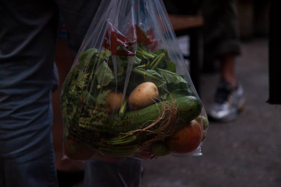 Bag o Veg pick by CSA Volunteer