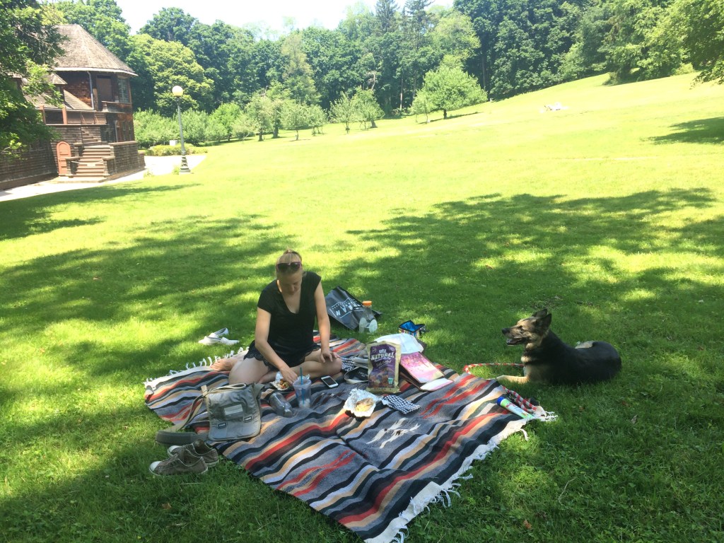 Picnic!