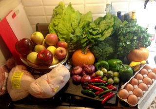 1 our haul