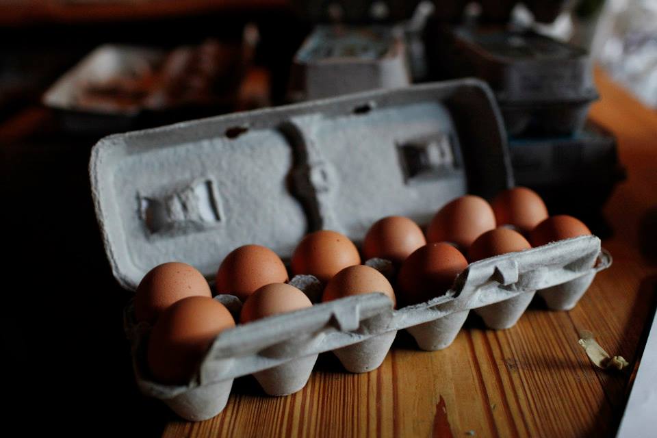    Photograph by Andrew Hinderaker © 2014 Andrew Hinderaker