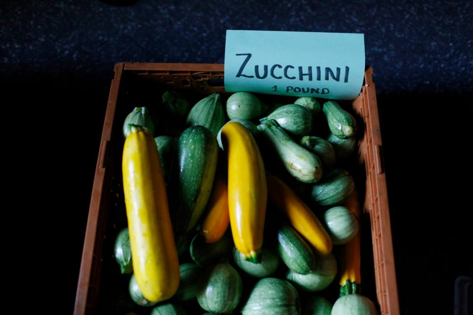    Photograph by Andrew Hinderaker © 2014 Andrew Hinderaker