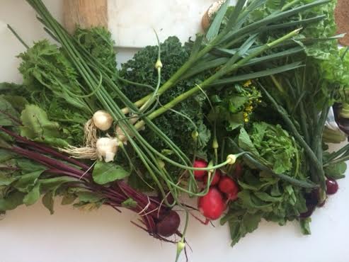 Week 3 of the vegetable share!