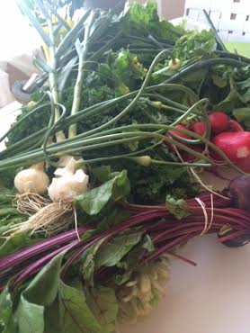 The share looked beautiful in the summer sun