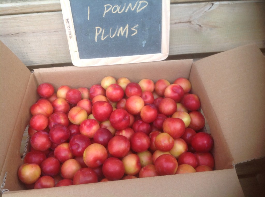 July 13th A Week&nbsp;Shares